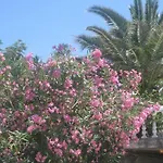 Porfyris Mandraki (Nisyros)