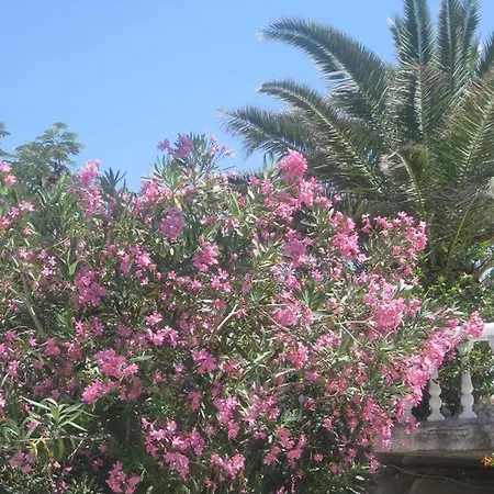 Porfyris Mandraki (Nisyros)