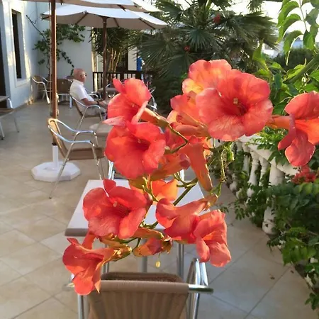 Hotel Porfyris 2*