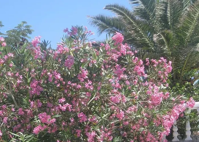 Porfyris Mandraki (Nisyros)